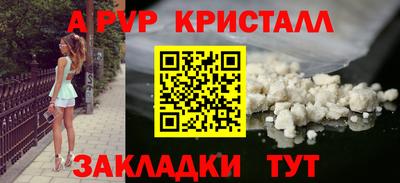 стаф Кинель