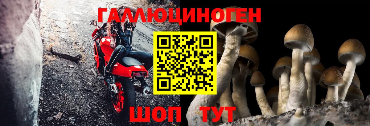 Керчь  Псилоцибиновые грибы ЛСД  продажа наркотиков  Вход с VPN 