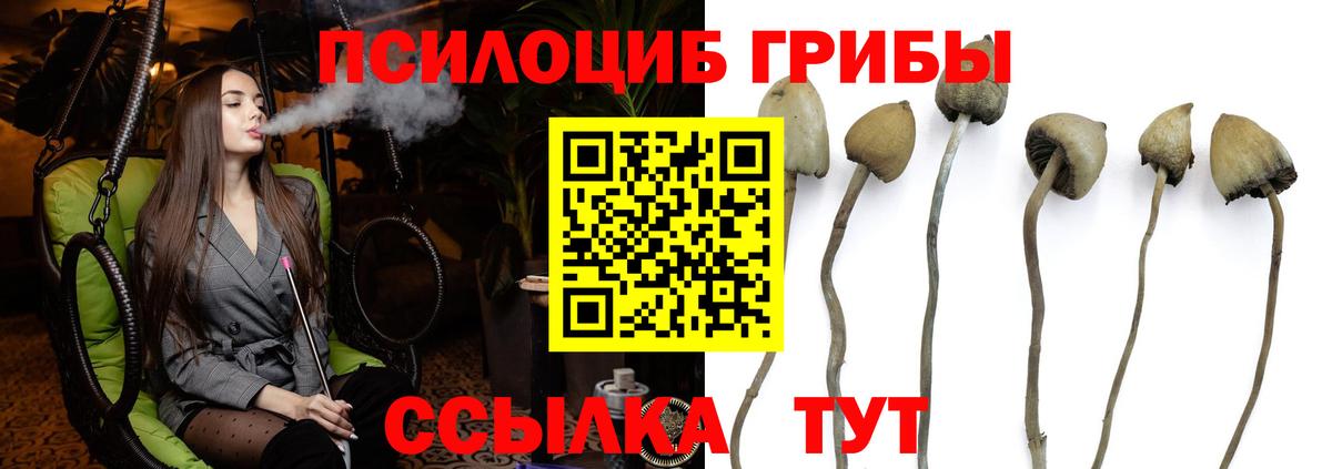Псилоцибиновые грибы прущие грибы Керчь